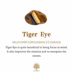 Beautiful Bracelet with Unique Style