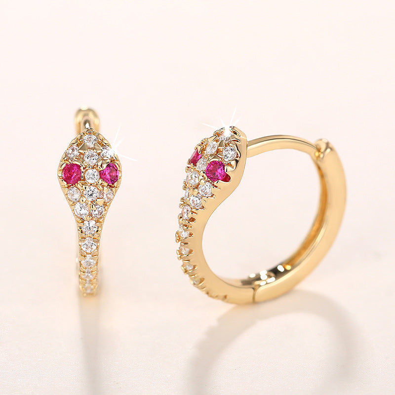 Beautiful Earring with Unique Style