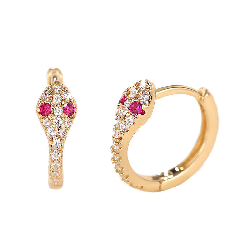 Beautiful Earring with Unique Style