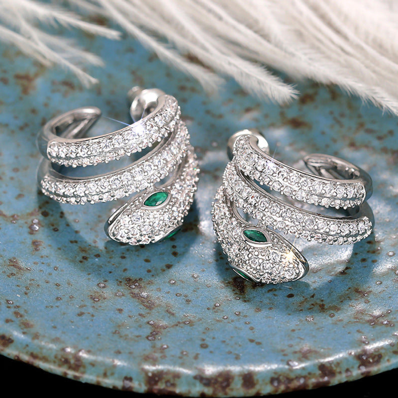 Beautiful Earring with Unique Style