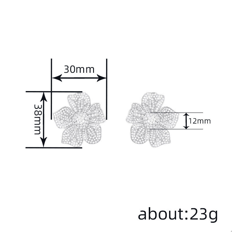 Beautiful Earring with Unique Style