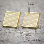 Beautiful Earring with Unique Style