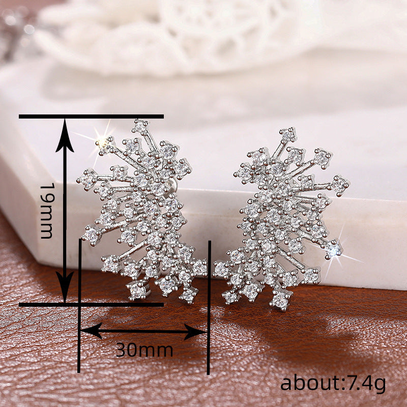 Beautiful Earring with Unique Style