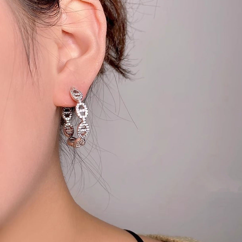 Beautiful Earring with Unique Style