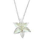 A Beautiful Necklace with Unique Style