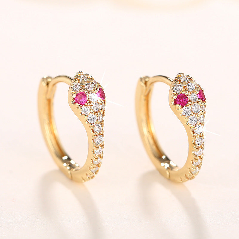 Beautiful Earring with Unique Style