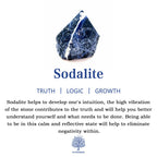 Beautiful Bracelet with Unique Style